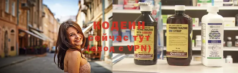 купить наркотики сайты  Ленск  Кодеиновый сироп Lean Purple Drank 