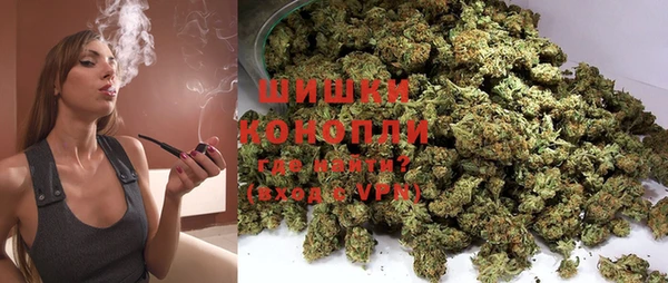 СК Михайлов