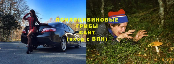 шишки Наволоки