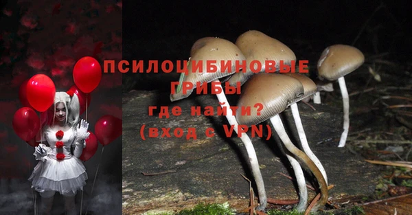 шишки Наволоки