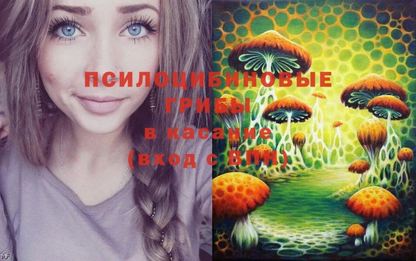 шишки Наволоки