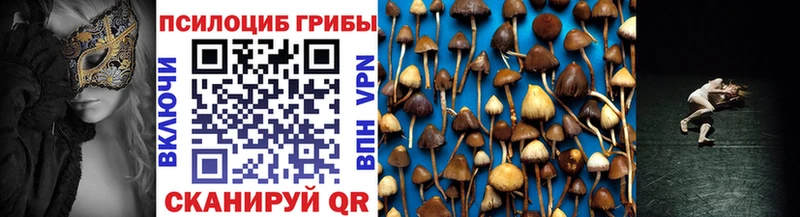 Псилоцибиновые грибы Psilocybe купить наркотик Ленск
